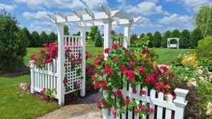 Garden picture